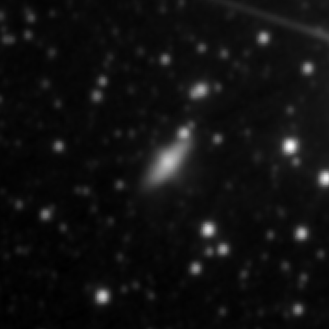 Survey preview for NGC 3314B