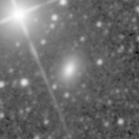 Survey preview for NGC 442
