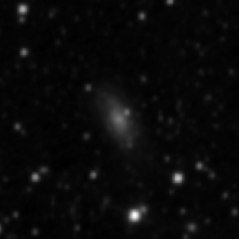 Survey preview for NGC 3321