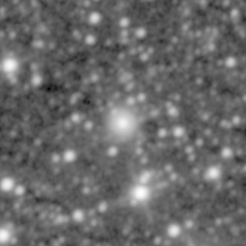 Survey preview for NGC 443