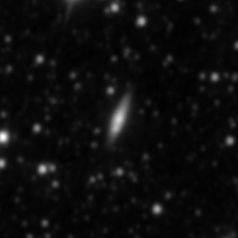 Survey preview for NGC 3333