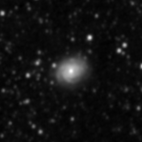 Survey preview for NGC 3336