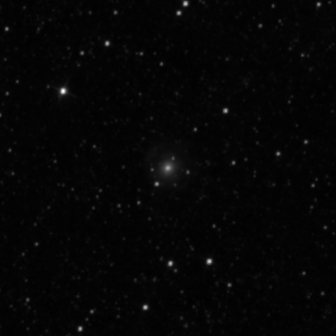 Survey preview for NGC 3342