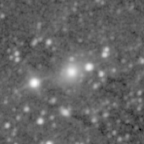 Survey preview for NGC 445