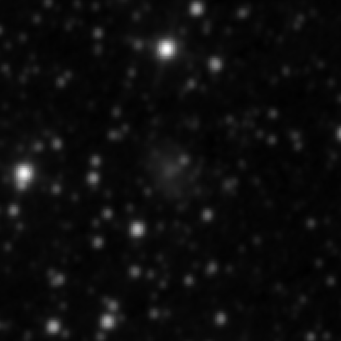 Survey preview for NGC 3347C
