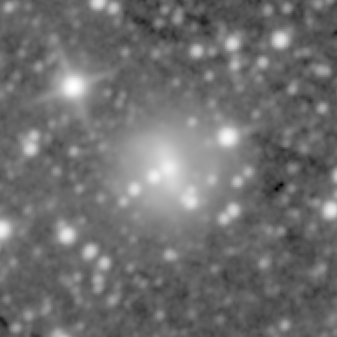 Survey preview for NGC 447