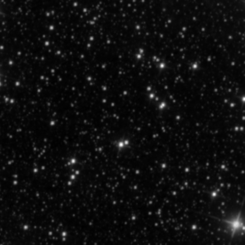Survey preview for IC 2195