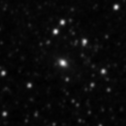 Survey preview for IC 2205