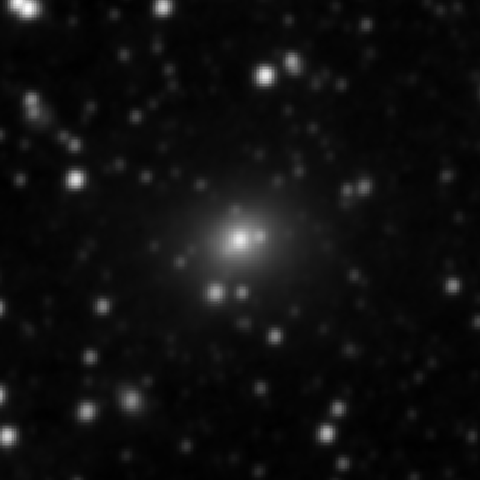 Survey preview for IC 2231