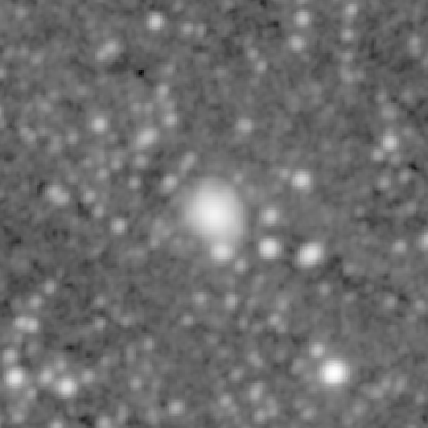 Survey preview for NGC 461