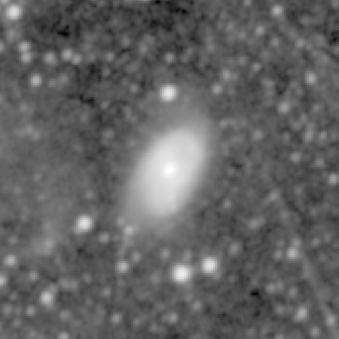 Survey preview for NGC 470