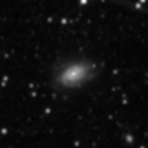 Survey preview for NGC 3464