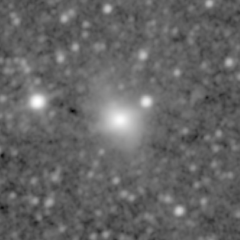 Survey preview for NGC 481