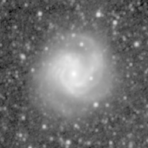 Survey preview for M61