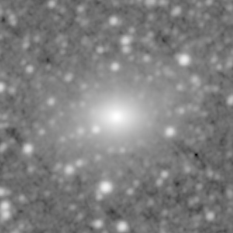 Survey preview for NGC 484