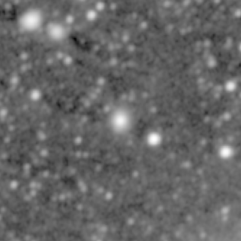 Survey preview for NGC 490