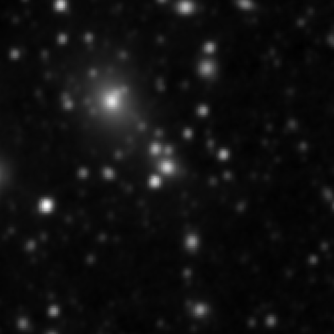 Survey preview for IC 2376