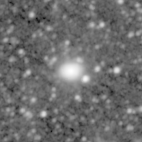 Survey preview for NGC 491