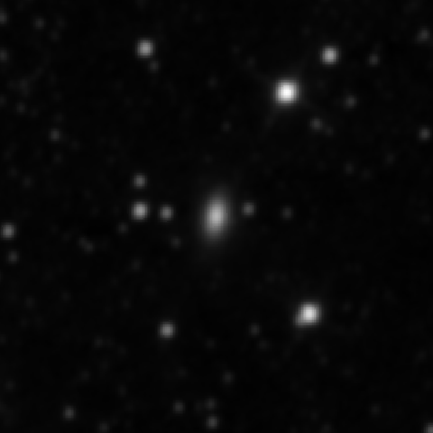 Survey preview for IC 2406
