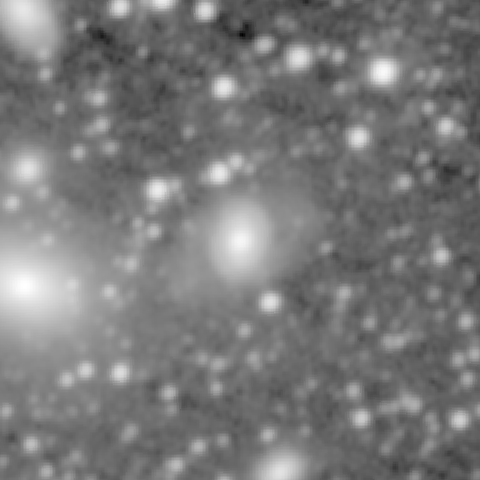 Survey preview for NGC 495
