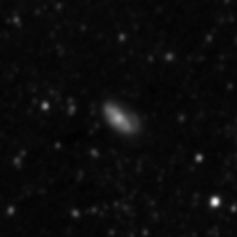 Survey preview for NGC 3559
