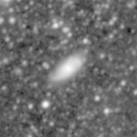 Survey preview for NGC 497