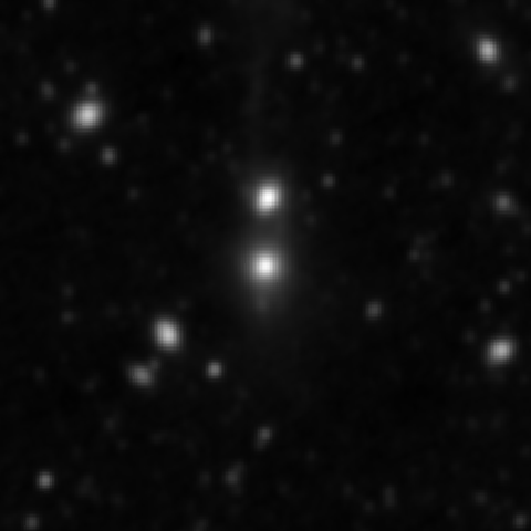 Survey preview for NGC 3561