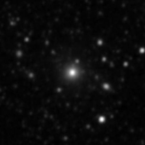 Survey preview for NGC 3569