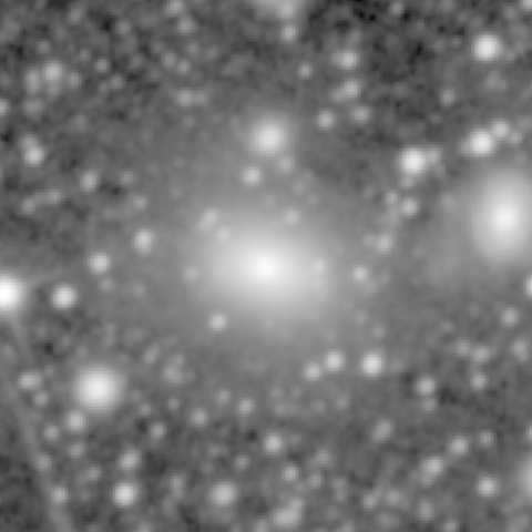 Survey preview for NGC 499