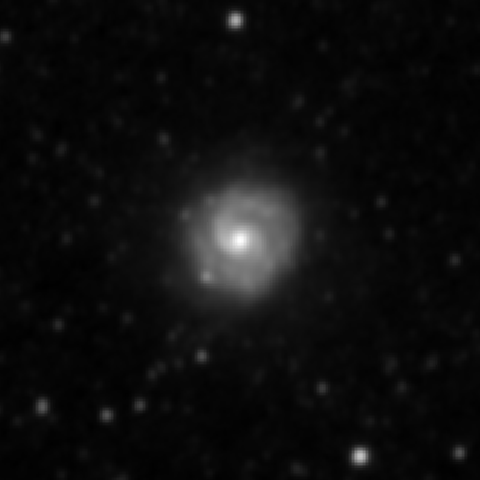 Survey preview for NGC 3596