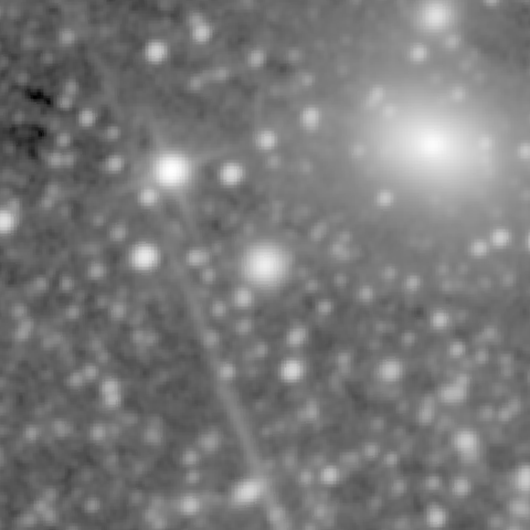 Survey preview for NGC 501