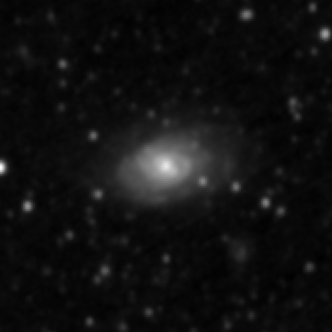 Survey preview for NGC 3614
