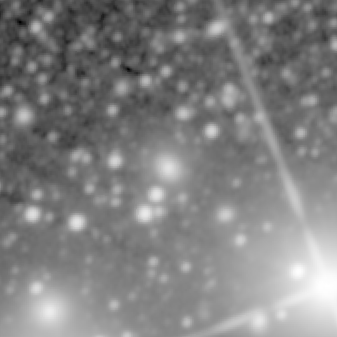Survey preview for NGC 503