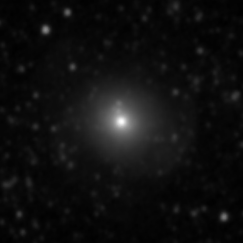 Survey preview for NGC 3619