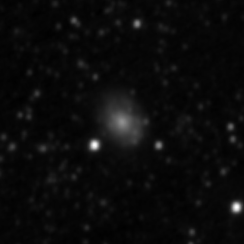 Survey preview for NGC 3629