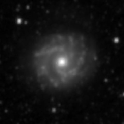 Survey preview for NGC 3631