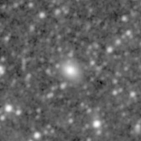 Survey preview for NGC 505