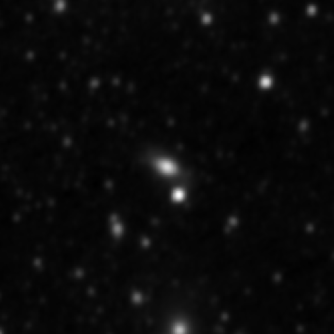 Survey preview for NGC 3644