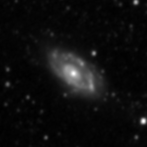 Survey preview for NGC 3646