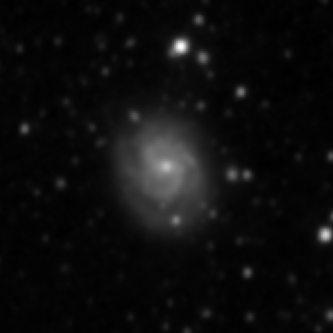 Survey preview for NGC 3686