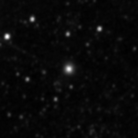 Survey preview for IC 2443