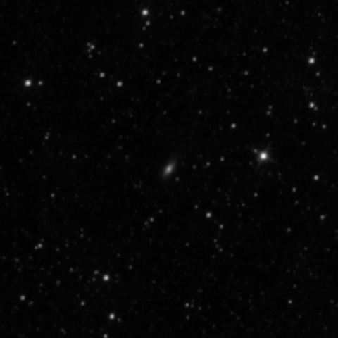 Survey preview for IC 2447