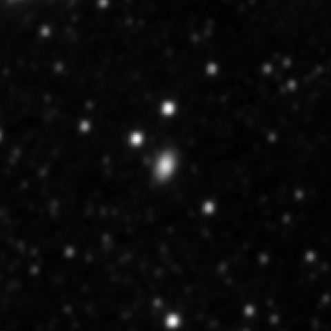 Survey preview for IC 2481