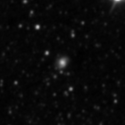 Survey preview for IC 2486