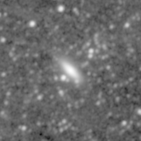 Survey preview for NGC 516