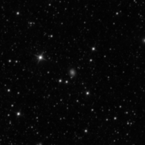 Survey preview for IC 2494