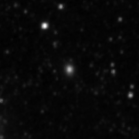 Survey preview for IC 2495