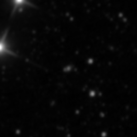Survey preview for IC 2499