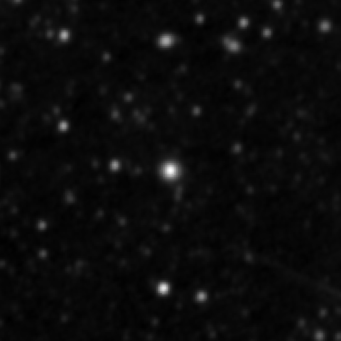 Survey preview for IC 2502