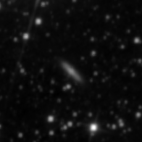 Survey preview for IC 2536